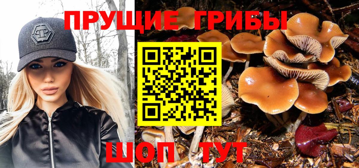 Псилоцибиновые грибы ЛСД Дедовск